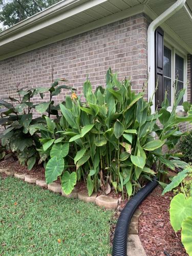 FECB94A3-1785-4839-A65D-0516D1E0141D