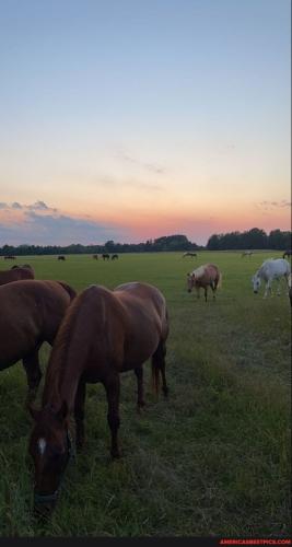 5bf13a7a4434e75315881124af9245f29394a5539fc2aad35df983e4d6453534_1