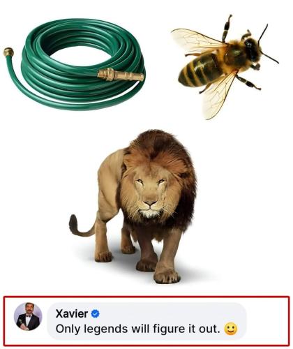 FB_IMG_1729915094848