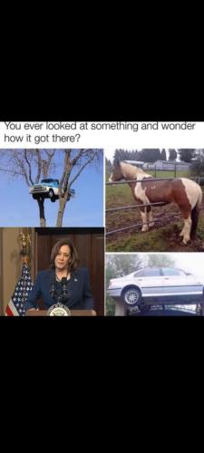 Messenger_creation_D810CA62-AB06-4238-A165-02241FB074DA