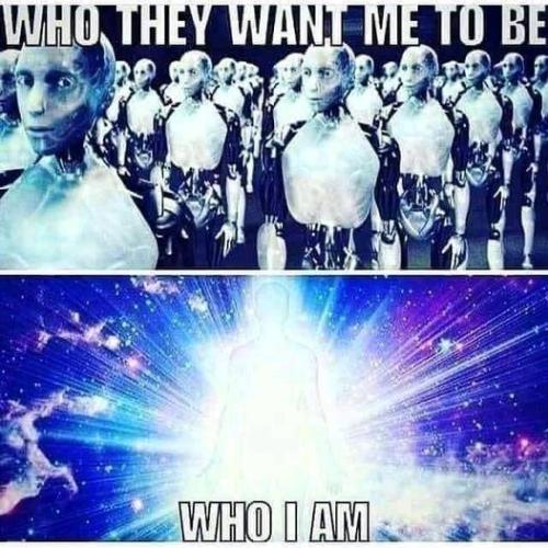 463743139_122131810286373919_3530705421529370428_n