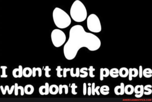 89b85d6229a91e0fbe954df75afd5ffeb868cfcee3558aca728d196a8a0247c1_1