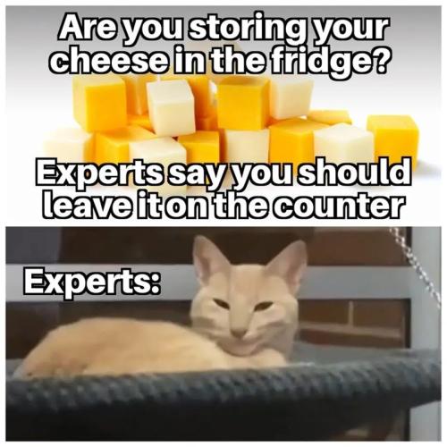 are-storing-cheese-fridge-experts-say-should-leave-on-counter-experts