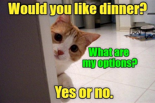 two-choices-take-it-or-leave-it