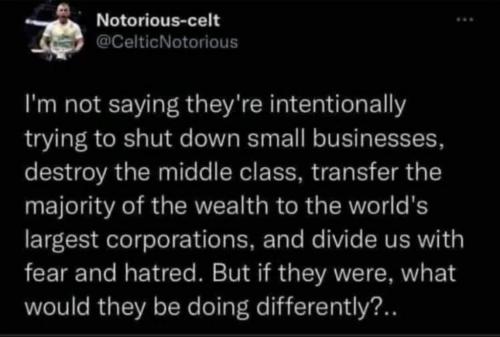 photo_2024-10-20_16-53-32