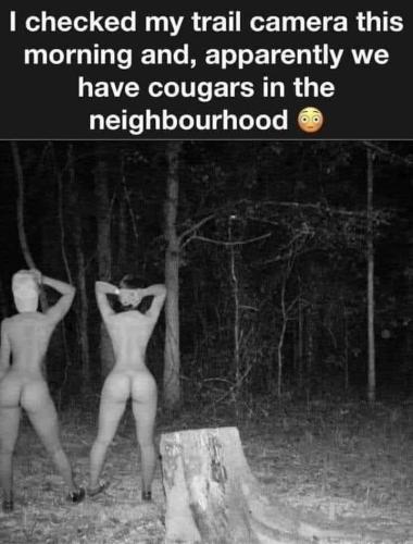 image_9F10D077-53CD-4CD6-8F3B-5D7EFBA63E32