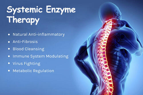 Systemic Enzymes Therapy