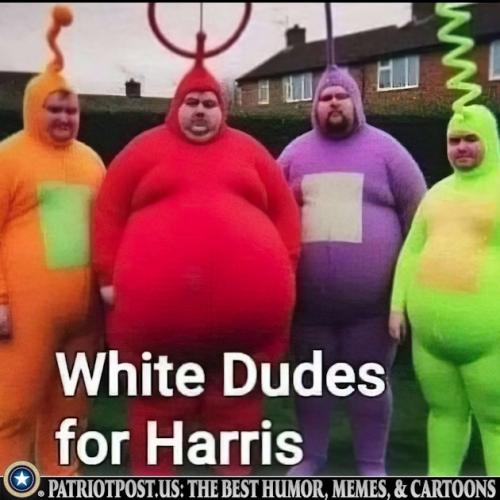 01JBDSDN332CXXQ9448R5KDBGD