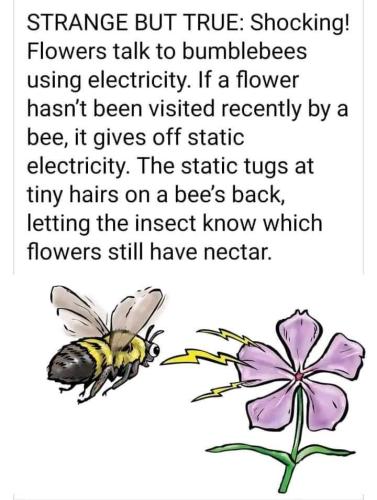 ,                              ,    ,