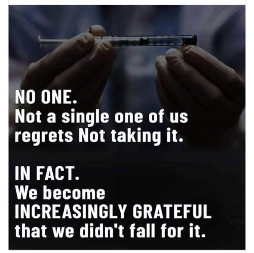 Screenshot_20241009_030945_Facebook