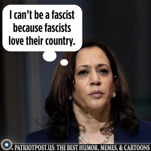 01JB18V8CT2ED4AXGR238Y7ZFY