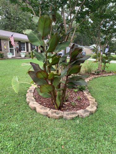 79D0BC1D-6353-4C94-A25D-FCC98B56AC25