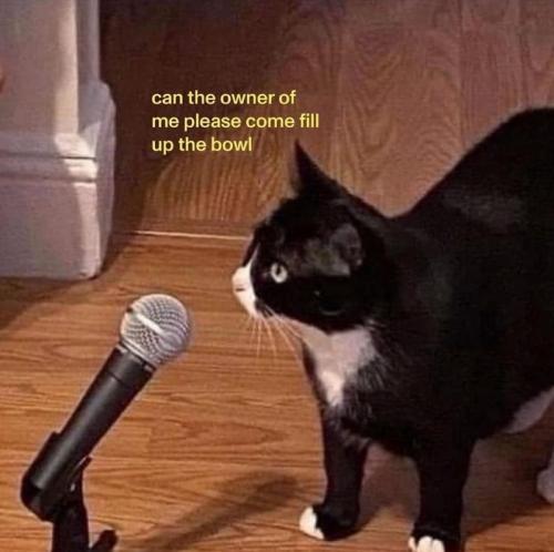 can-owner-please-come-fill-up-bowl