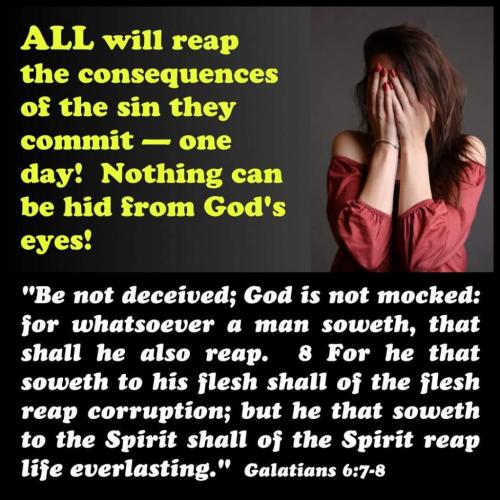 555c58fe-e8f7-4f59-a5dd-e98241f38a28