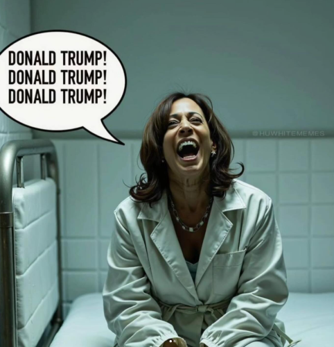 Screenshot 2024-10-28 130634