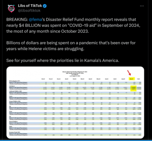 image_2024-10-08_063534754