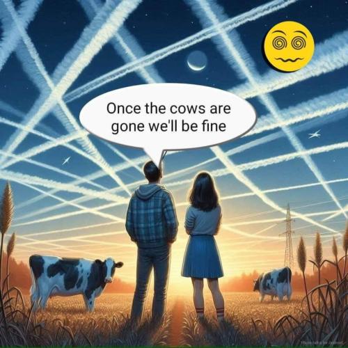 image_F9F72D80-19B0-4A26-BD99-3965DAAEED3B