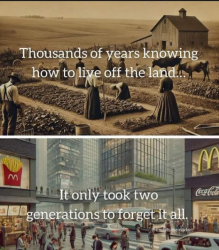 image_2024-10-30_064821848