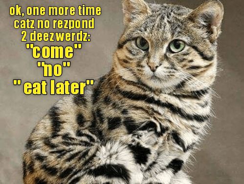 f6534c54e2338a2eea7cf0861a13500b