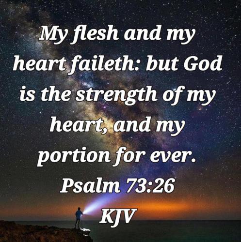 7493559b-8bbc-4935-8137-e9981b7bc9c1