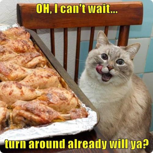 074ce61b193b57c01bd8e24bc4da4e61