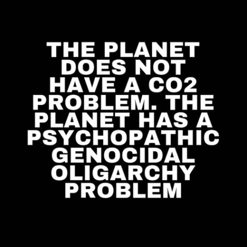 image_2024-10-08_064758077