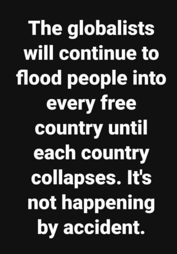 81e7859b78a5ee4207025c4754e7fa14