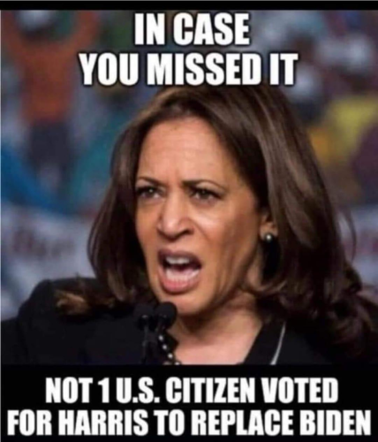 image_2024-10-28_064250229