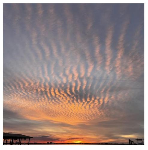 e55110e8-584e-4bbf-9a02-bf6e008191a8