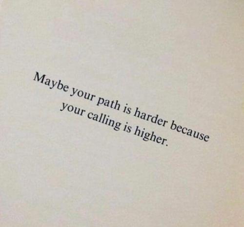 461498950_924955856331764_5457939513137643619_n