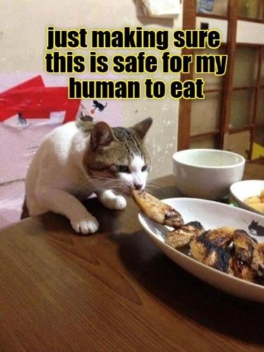 4993d152e0b29b3649c2219fc57c7a36