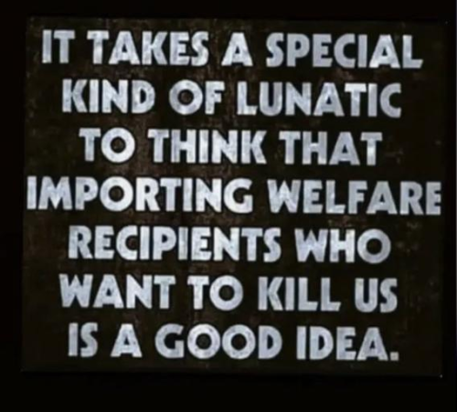 image_2024-10-29_063853284