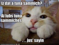 a857eced0903b92a01cb0614d023d64e