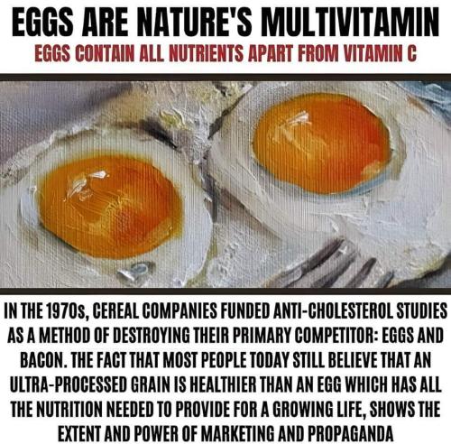 natures multivitamin
