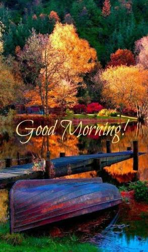 fall morning 10