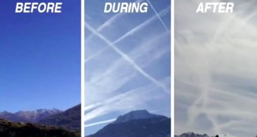 Screenshot_20240315-222053~2