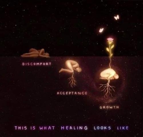 464360578_549658901283640_2263006178585030357_n