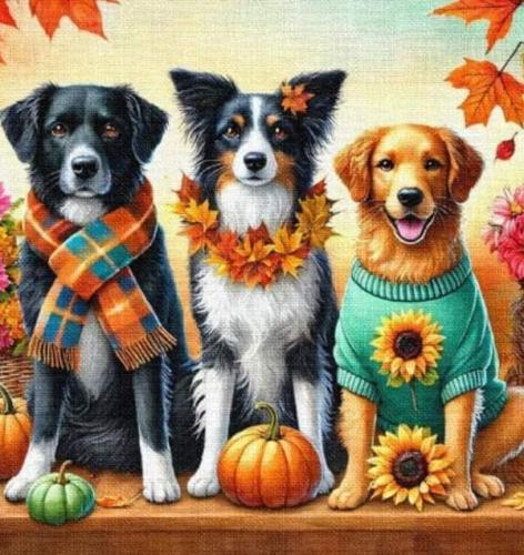 FB_IMG_1729548455458