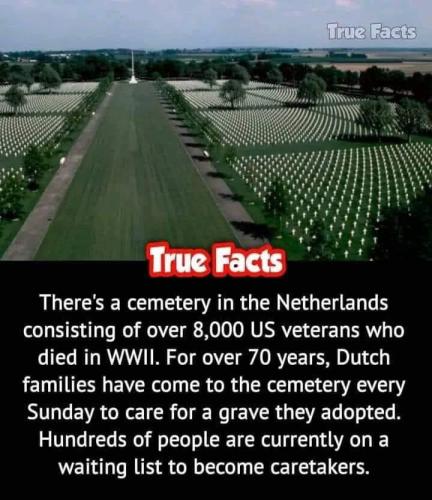 5A490785-30AA-4E55-97F3-38D10D6C9954