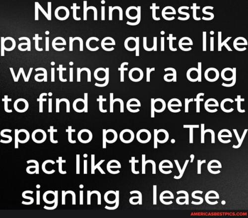 84cf44c9eb57a9d1c29a6f4630b886fb25a4872a0a8011553e2aff4beb1119f7_1