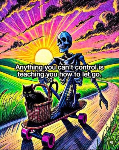 464132559_2016566188771833_4994522576837456186_n