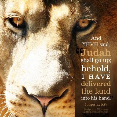 jud-1-2-KJV-mf-1