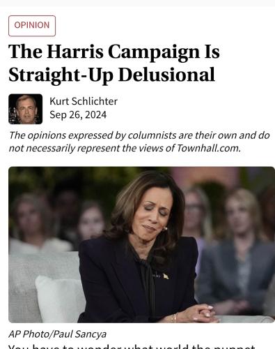 Screenshot_20241008-191617_Brave