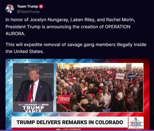 Screenshot 2024-10-11 171712