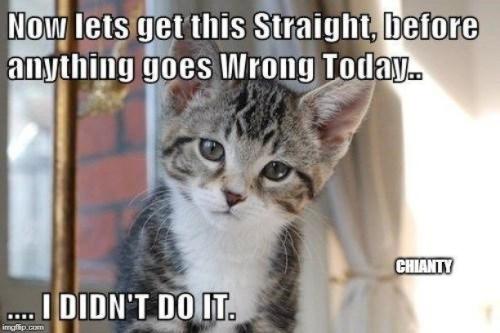 ed8c1a1f3819e30f3ee13b9f4e44113c