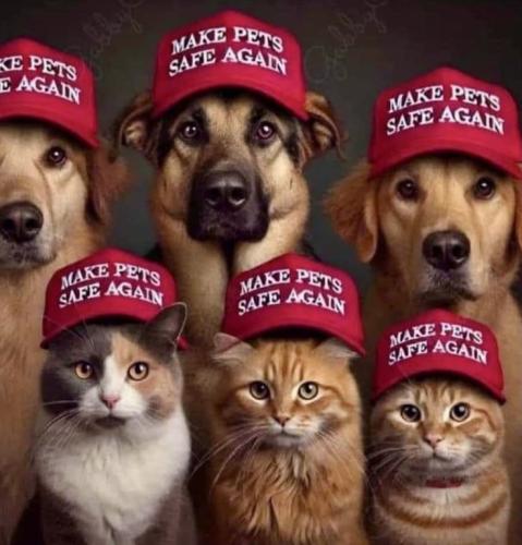 074b26062a1d68165a406c391d3bb299