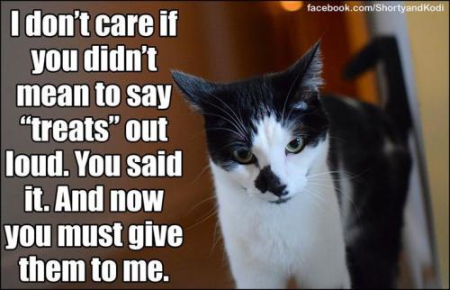 27c274c4d60f066bd63082888aabec34