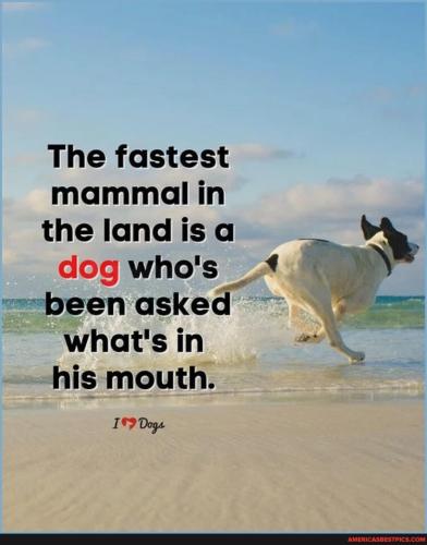 b7203bc371963a931b418ffa8f269941a4665a8900249b6153a6a7bf7084866c_1