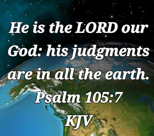 81bb40b9-ea90-47d4-83f2-2ff94b5a379e