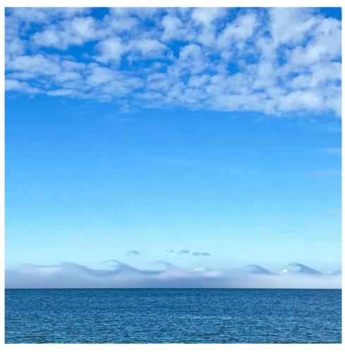 9825471c-33d6-4c39-a807-4944a1a58493